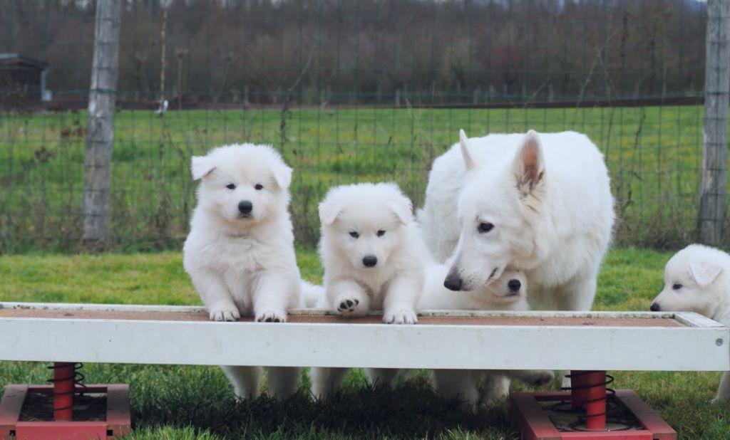 Nos bébés 